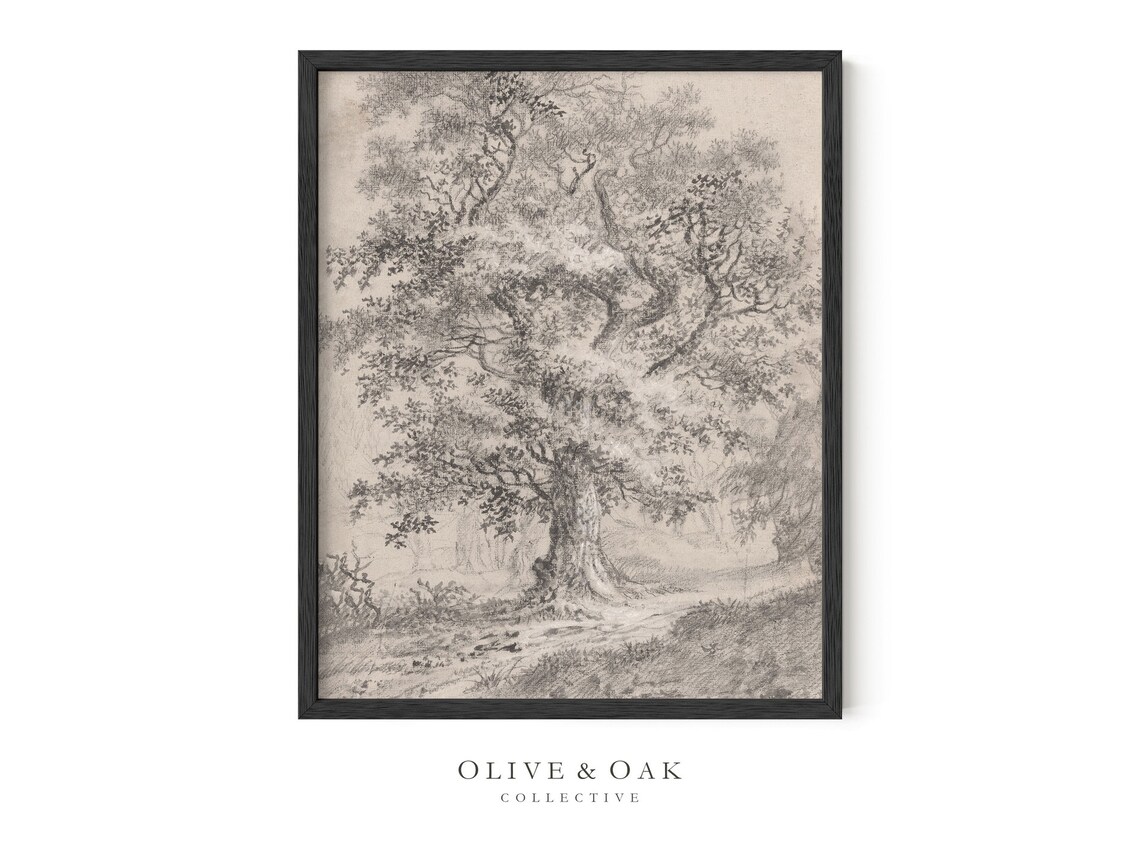 Vintage Tree Sketch, Rustic Tree Drawing Art Print - Image 3