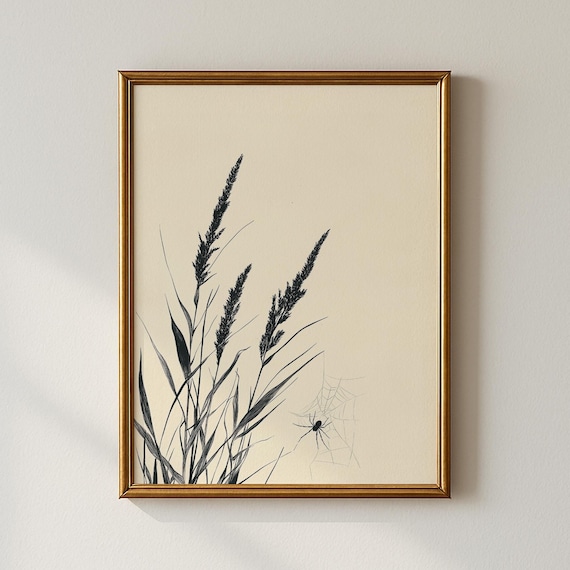 Spider and Web Minimalist Ink Drawing Poster for Nature Lovers