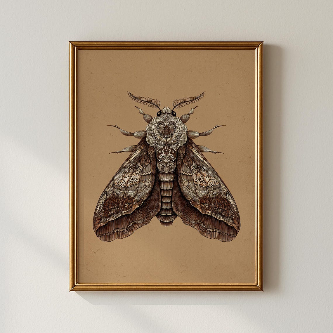 Vintage Moth Illustration Art Poster Detailed Sepia Insect Study