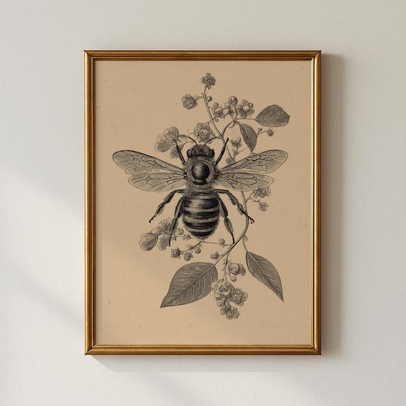 Vintage Spring Bee Print Botanical Gallery Wall Art Collected Prints Cpp568