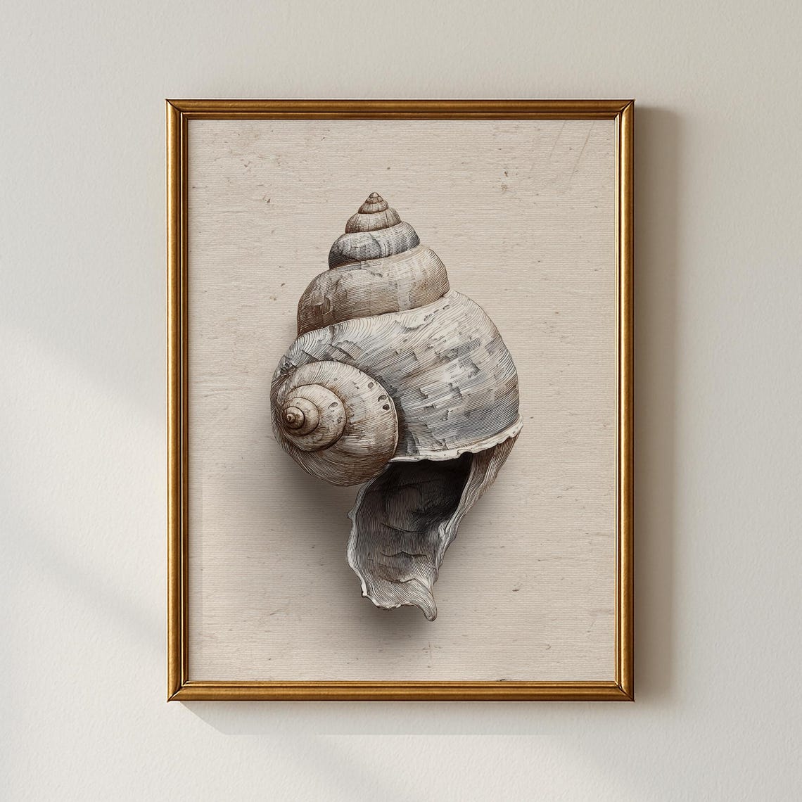 Vintage Whelk Seashell Engraving Nature Study Sketch Art Poster