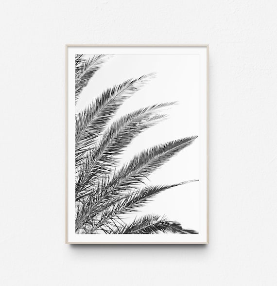 Black and White Palm Fronds Minimalist Tropical Photo Poster