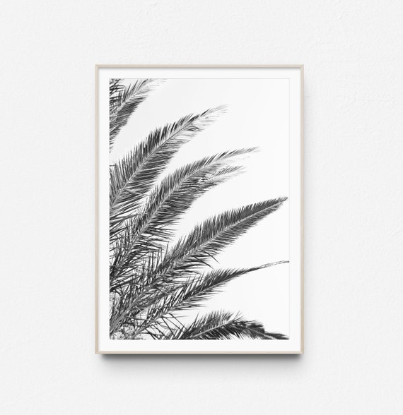 Palm Leaf Print Black And White Wall Art Poster Minimalist Tropical Photography Plant Photo