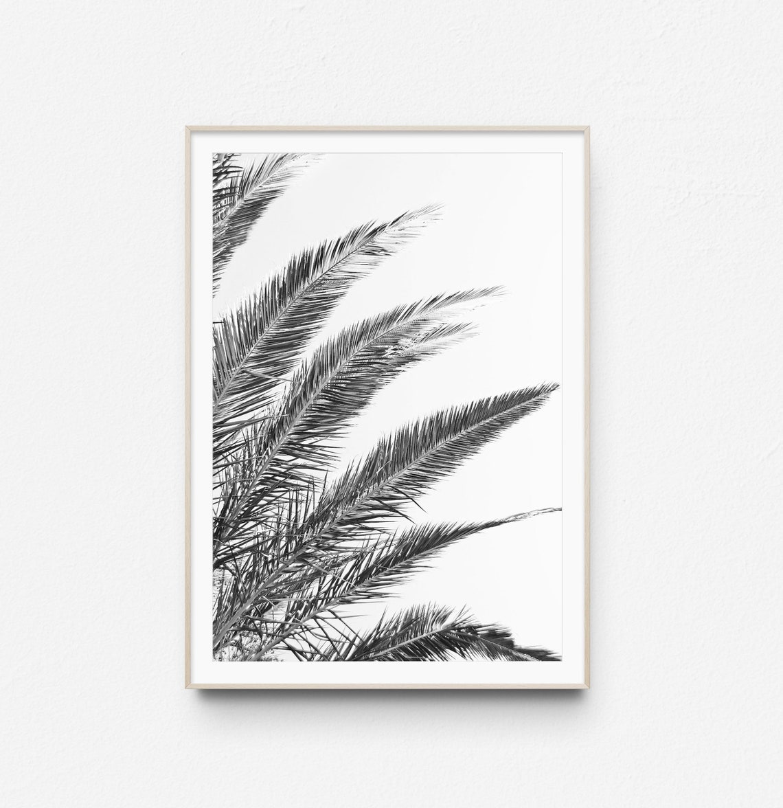 Black and White Palm Fronds Minimalist Tropical Photo Poster