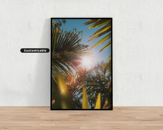 Sunlit Palm Fronds With Golden Sun Flare Tropical Photo Print