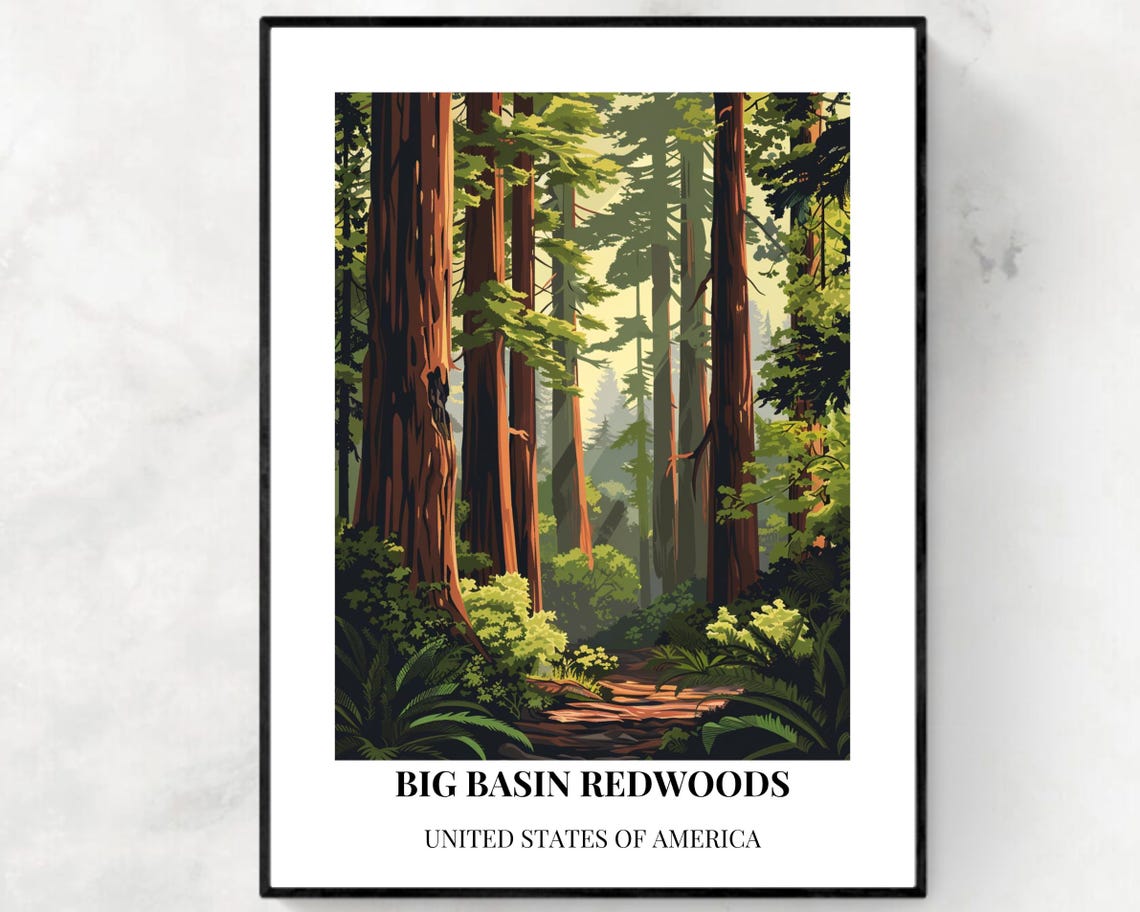 Big Basin Redwoods Towering Forest Trail Vintage Travel Poster