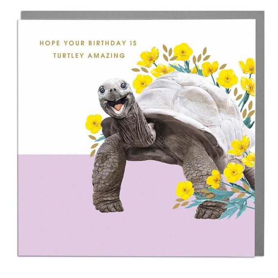 Turtle Happy Birthday Card