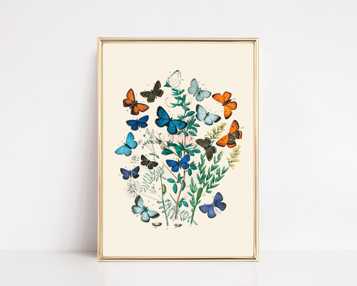 Butterfly Print Vintage Botanical Nursery Art Print