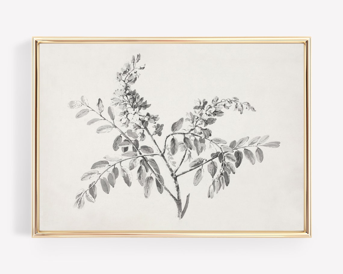 Grayscale Vintage Botanical Leaf Branch Horizontal Sketch Wall Art