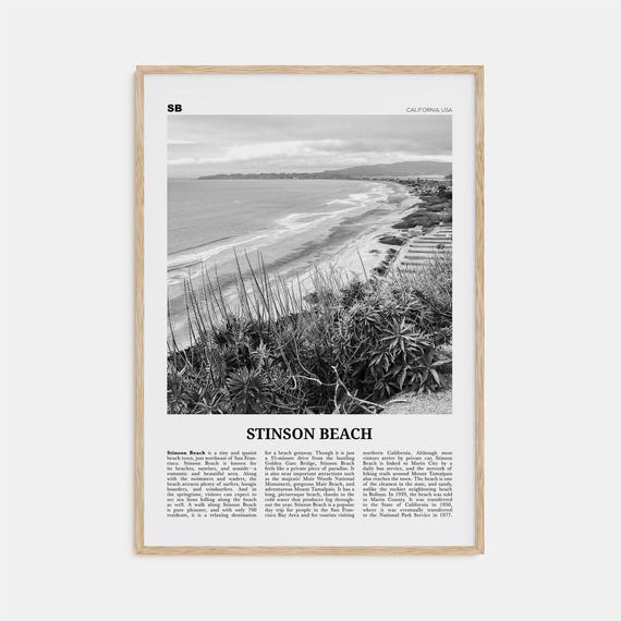 Stinson Beach Black and White California Travel Poster