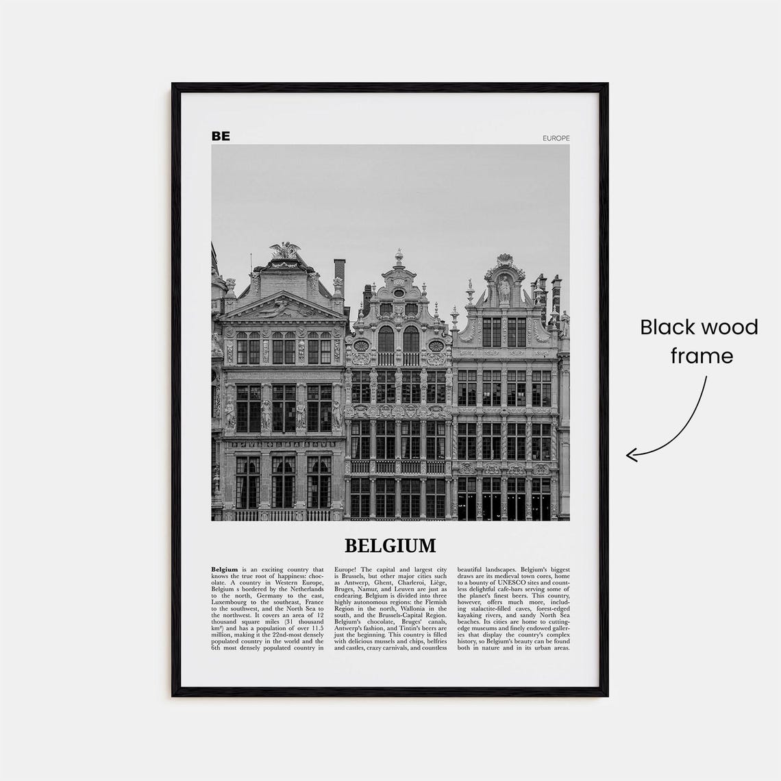 Belgium Black and White No. 3 Brussels Travel Poster - Image 3