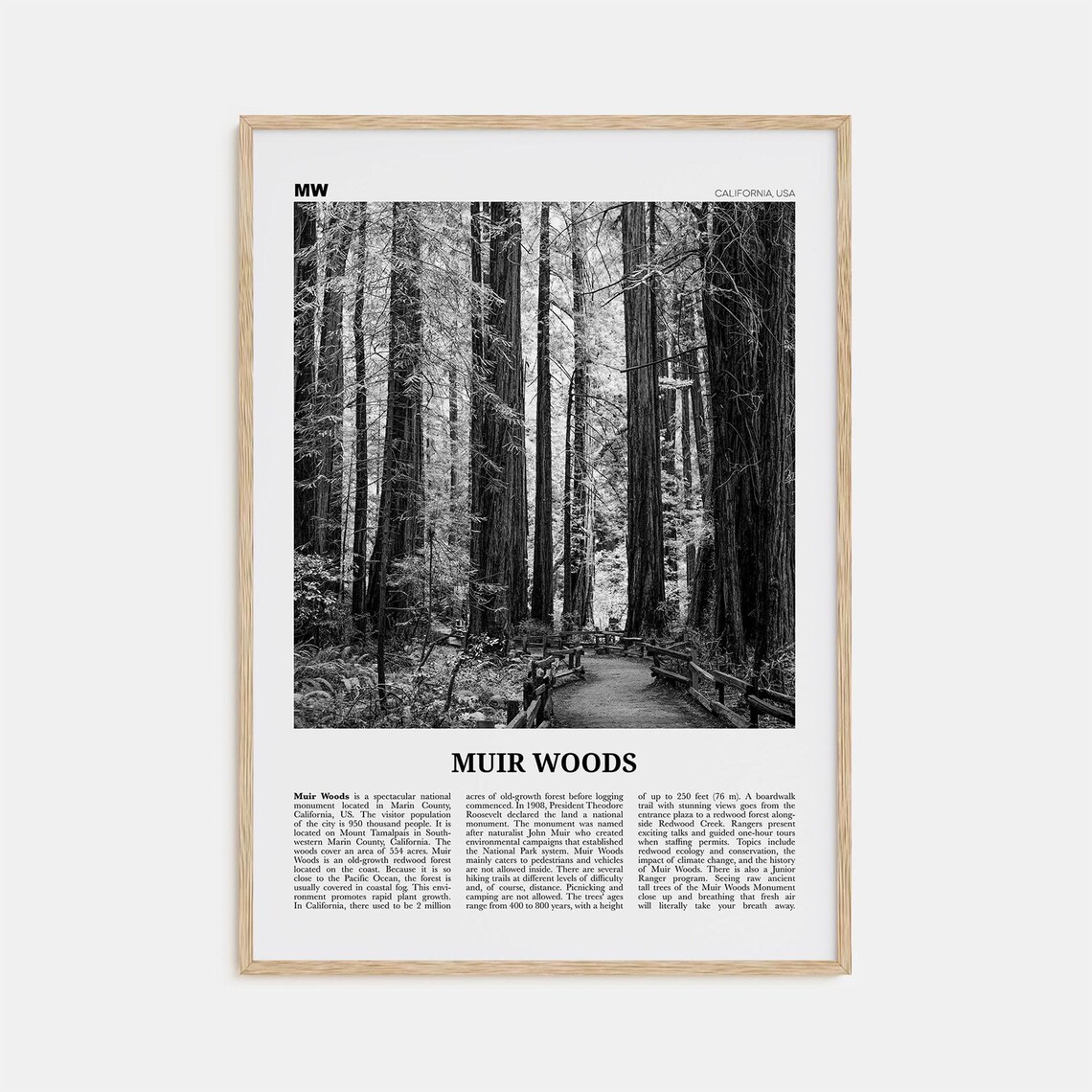 Muir Woods National Monument, Black and White Travel Poster