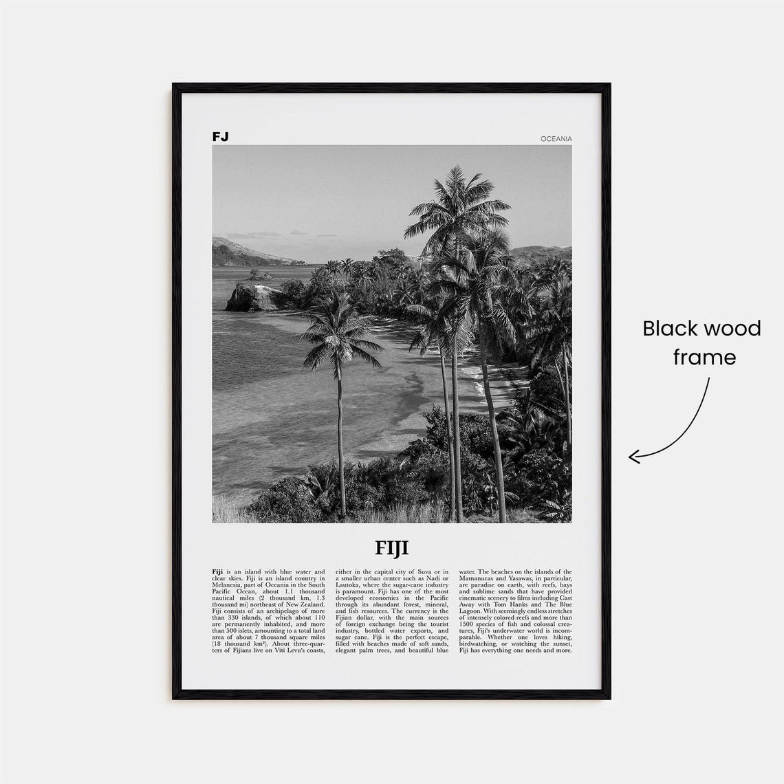 Fiji Black and White Travel Poster, Suva - Image 3