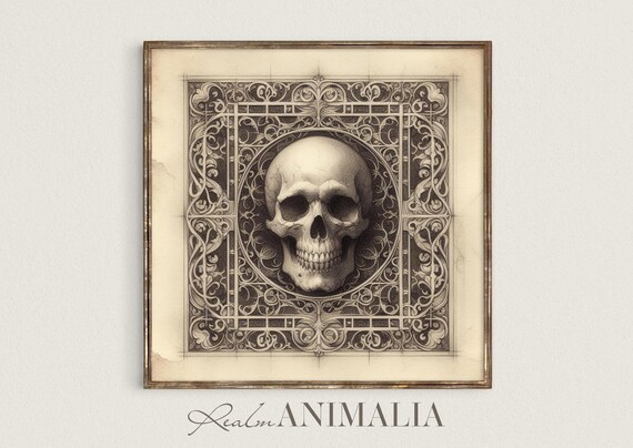 Skull Sketch In Ornate Frame Vintage Gothic Pencil Drawing Art Print