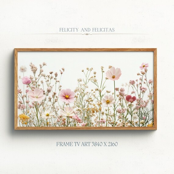Delicate Wildflower Meadow Cosmos White Background Floral Frame TV Art Poster