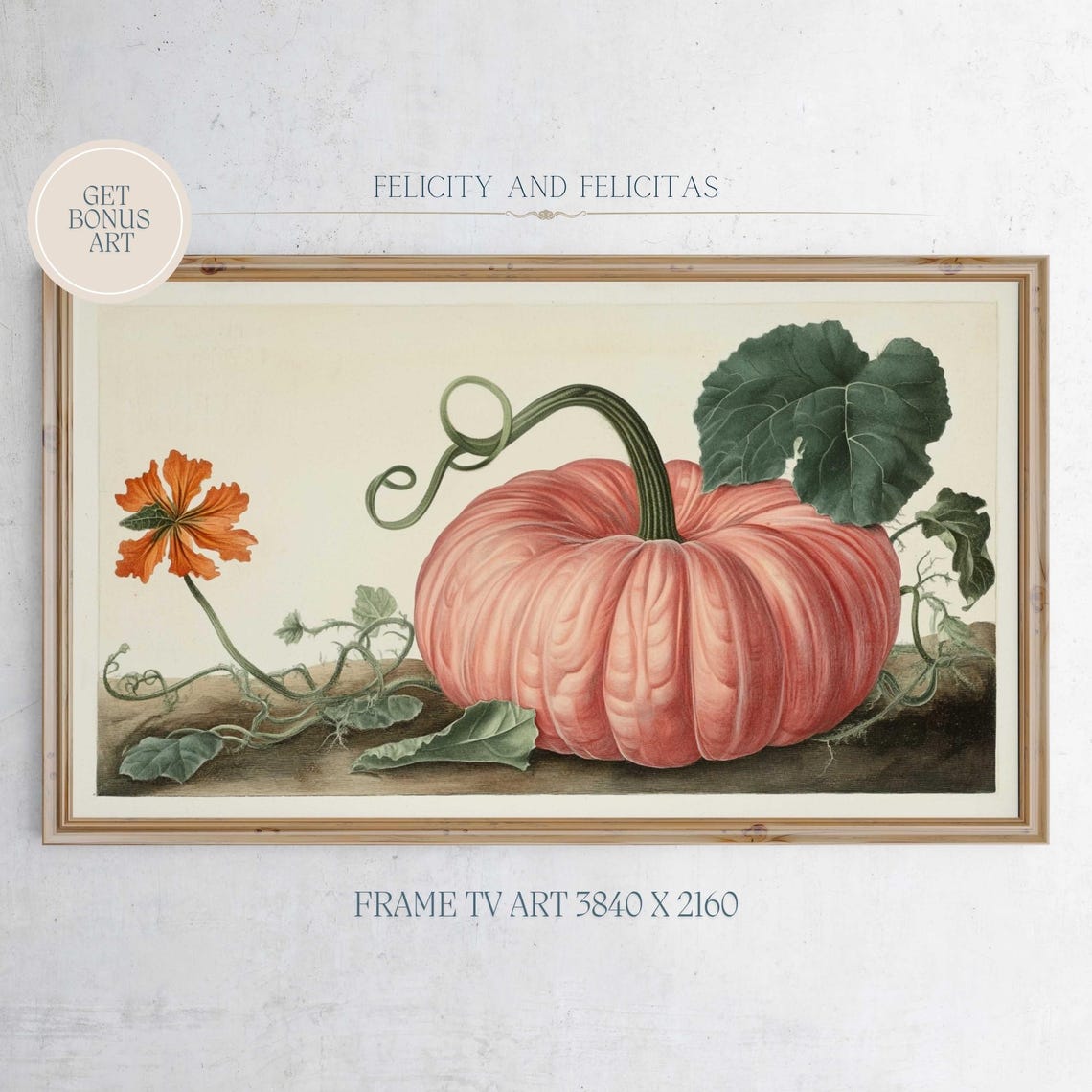 Pink Pumpkin Botanical Vintage Fall Style Frame TV Art Print