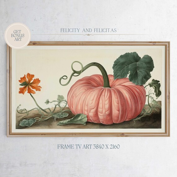 Pink Pumpkin Botanical Vintage Fall Style Frame TV Art Print