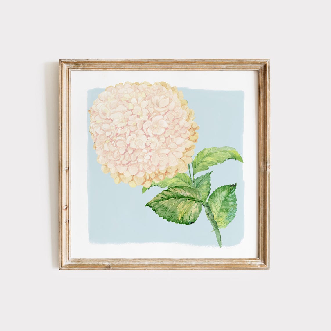 Cream Blush Hydrangea Cluster Watercolor Botanical Wall Art Print - Image 3