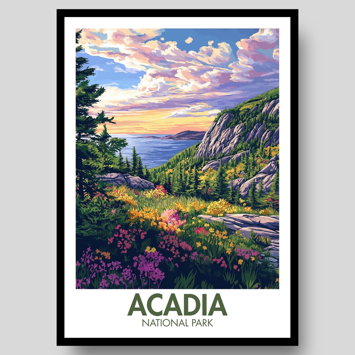 Acadia National Park Sunset Coastal Cliffs Wildflower Meadow Travel Poster