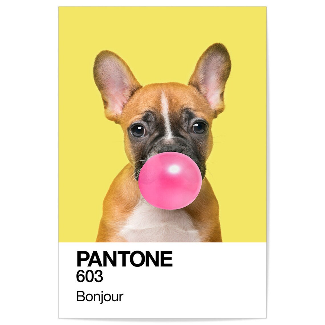French Bulldog Blowing Pink Bubblegum Pantone 603 Bonjour Dog Poster - Image 2