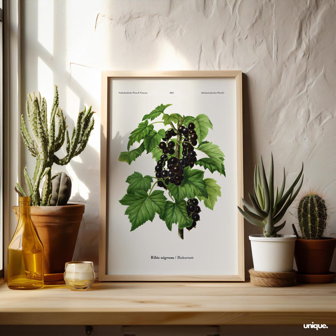 Vintage Blackcurrant Botanical Illustration Fruit Plant Art Poster - Image 2