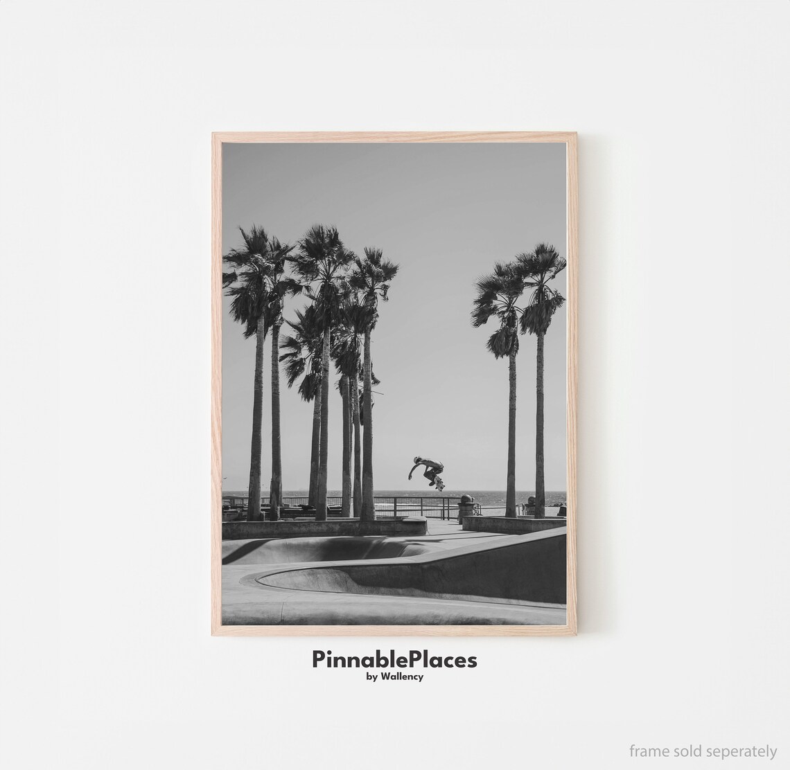 Venice Beach Skate Park Black and White Skateboarder Photo Poster