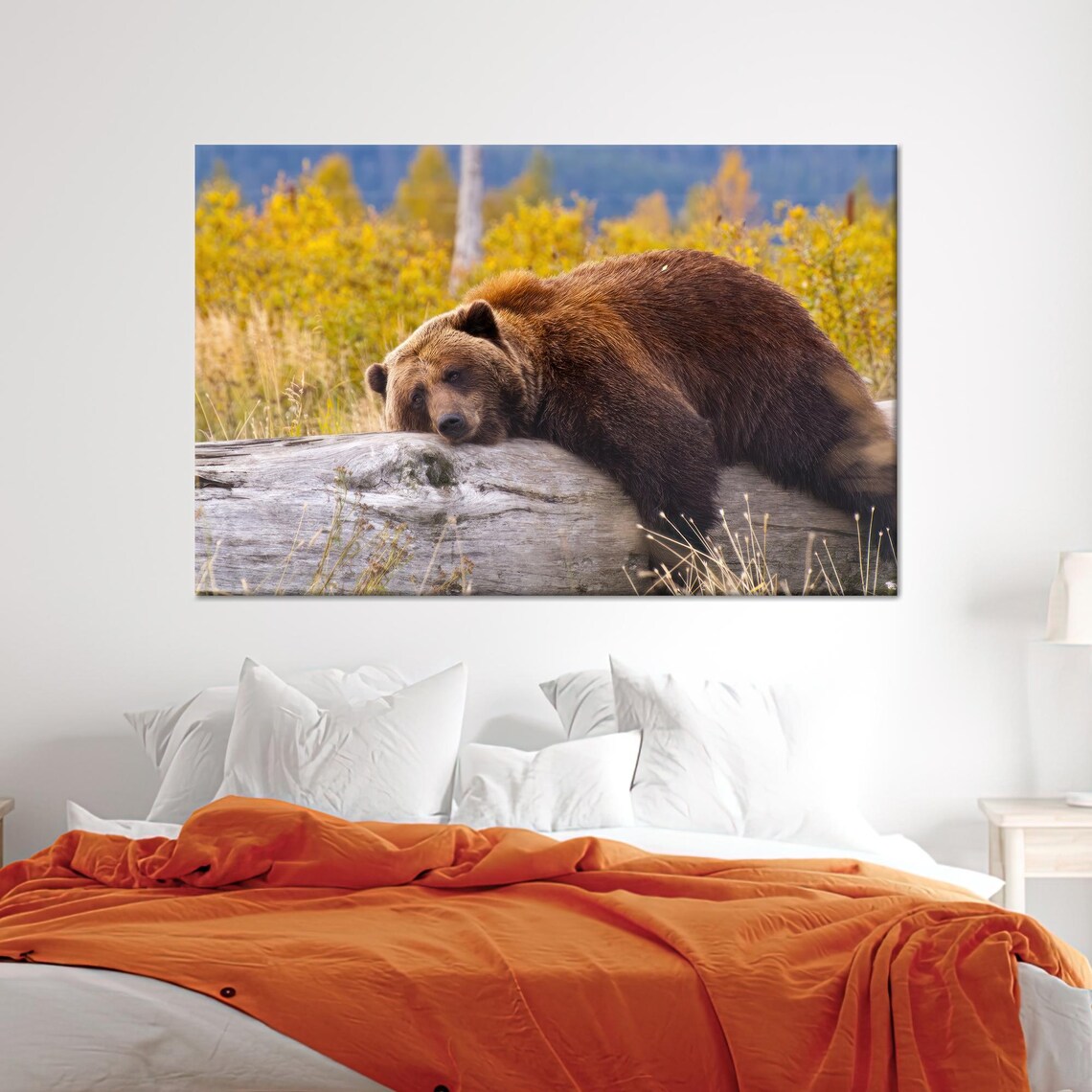 Brown Bear Resting On A Log, Modern Kitchen Decor