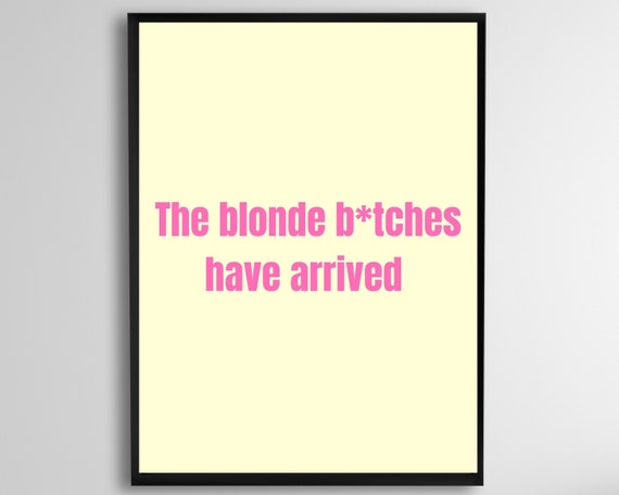 The Blonde Bitches Have Arrived Blondes Do It Better Funny Print Sorority Room Poster Girls Wall Decor Sign