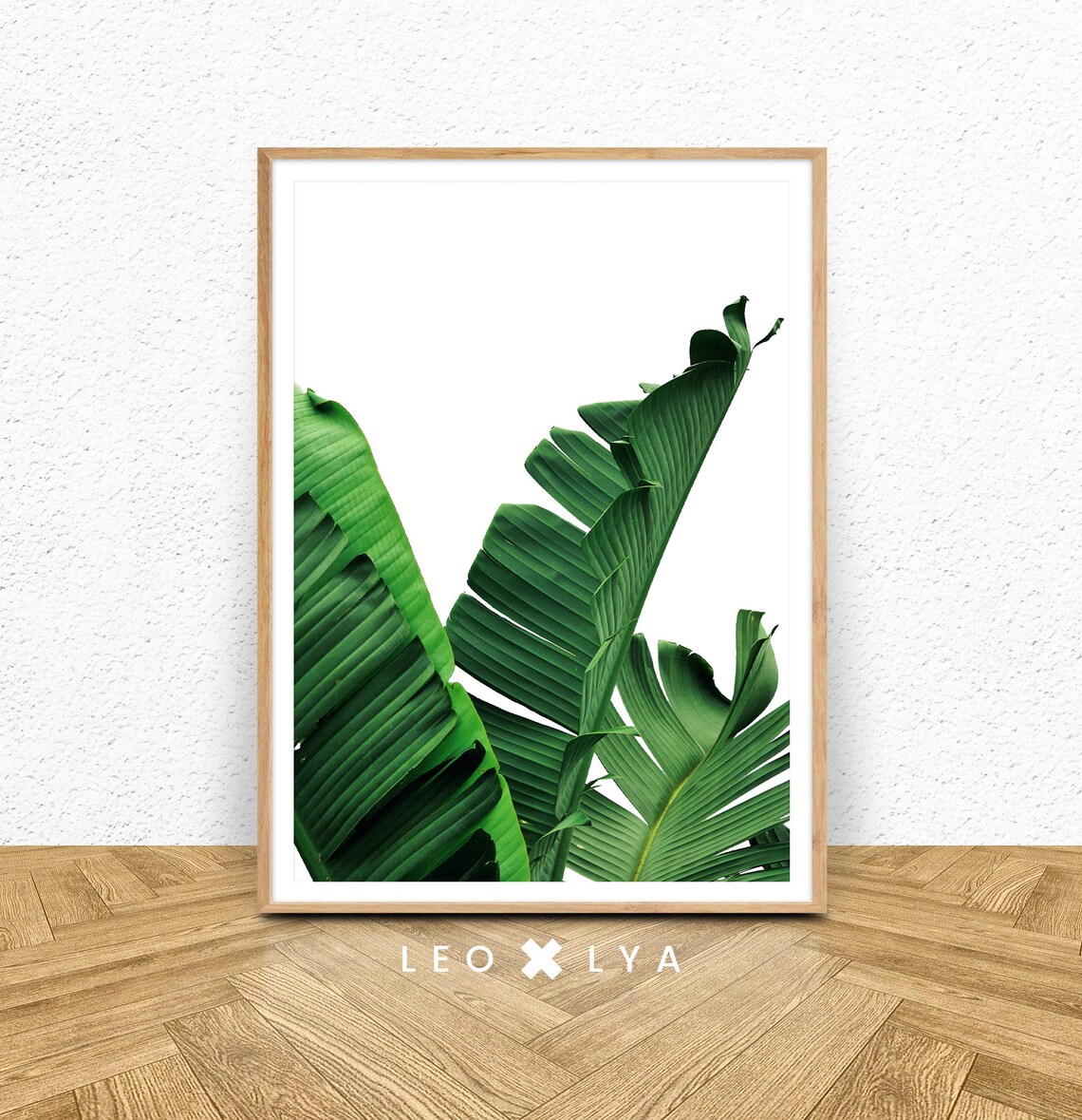 Green Banana Leaves White Background Fresh Tropical Leaf Poster