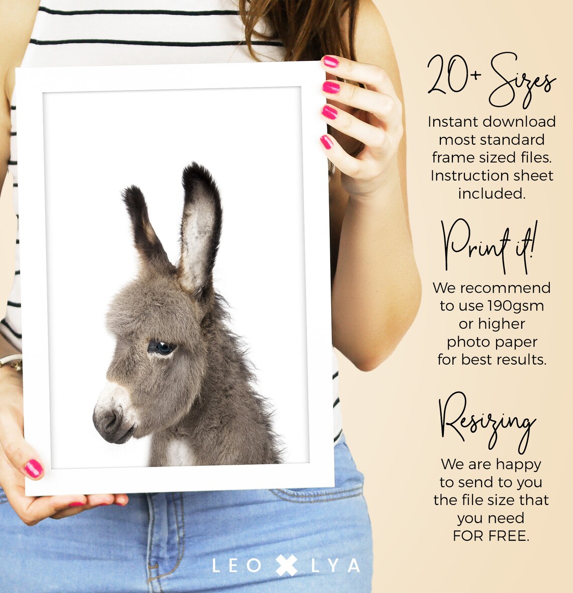 Cute Donkey Nursery Animal Poster for Kids Room - Image 4