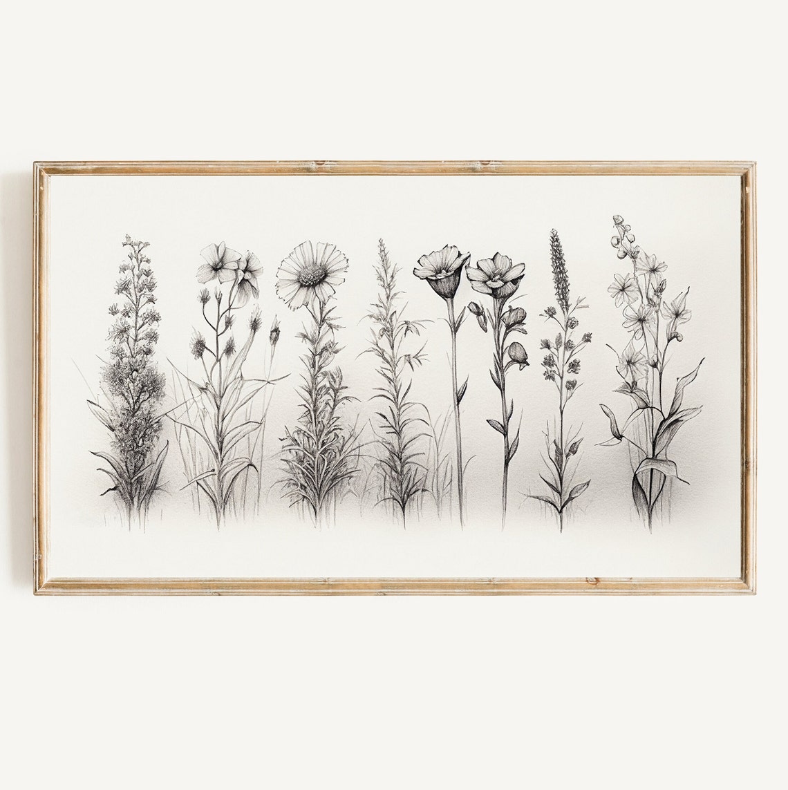 Black White Wildflower Sketch Botanical Pencil Drawing Art Poster