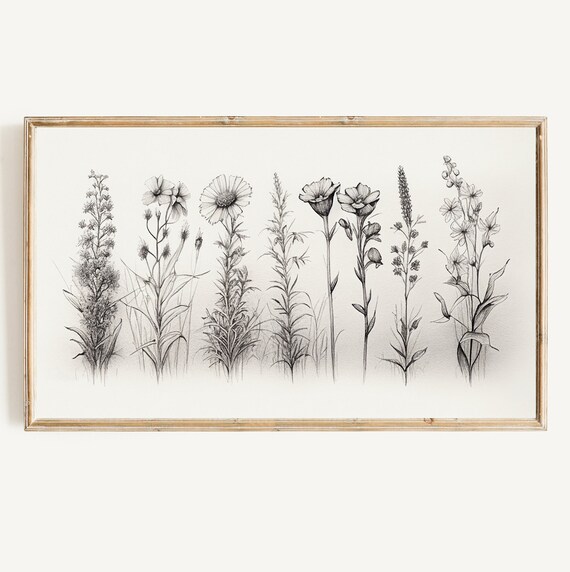 Black White Wildflower Sketch Botanical Pencil Drawing Art Poster