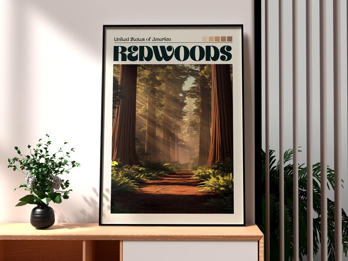 Redwoods USA Ancient Giant Forest Trail Sunbeams Travel Poster
