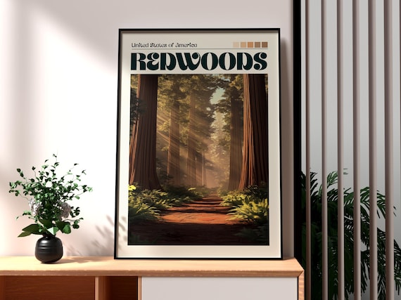 Redwoods USA Ancient Giant Forest Trail Sunbeams Travel Poster