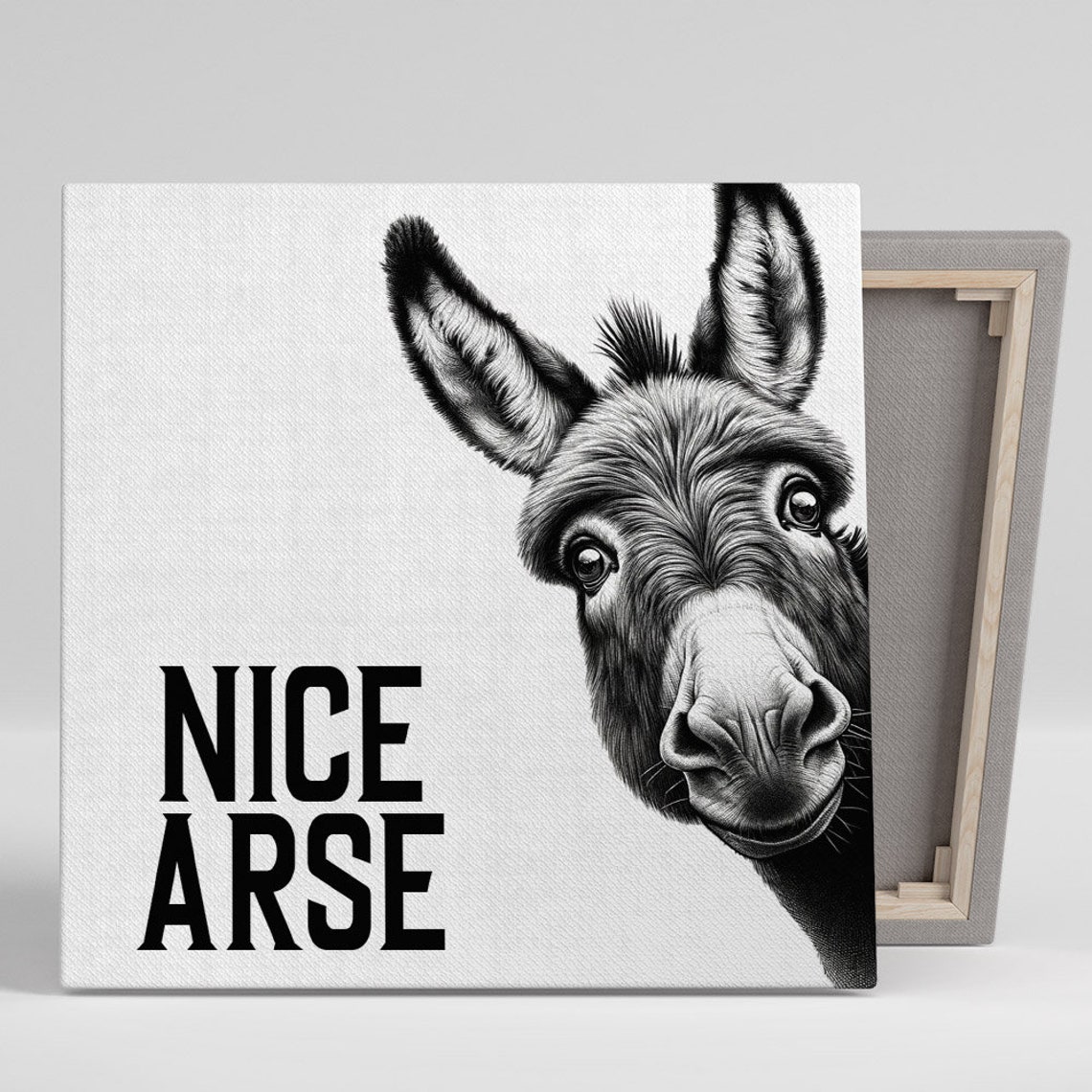 Funny Donkey Nice Arse Quote Black White Humor Animal Wall Poster