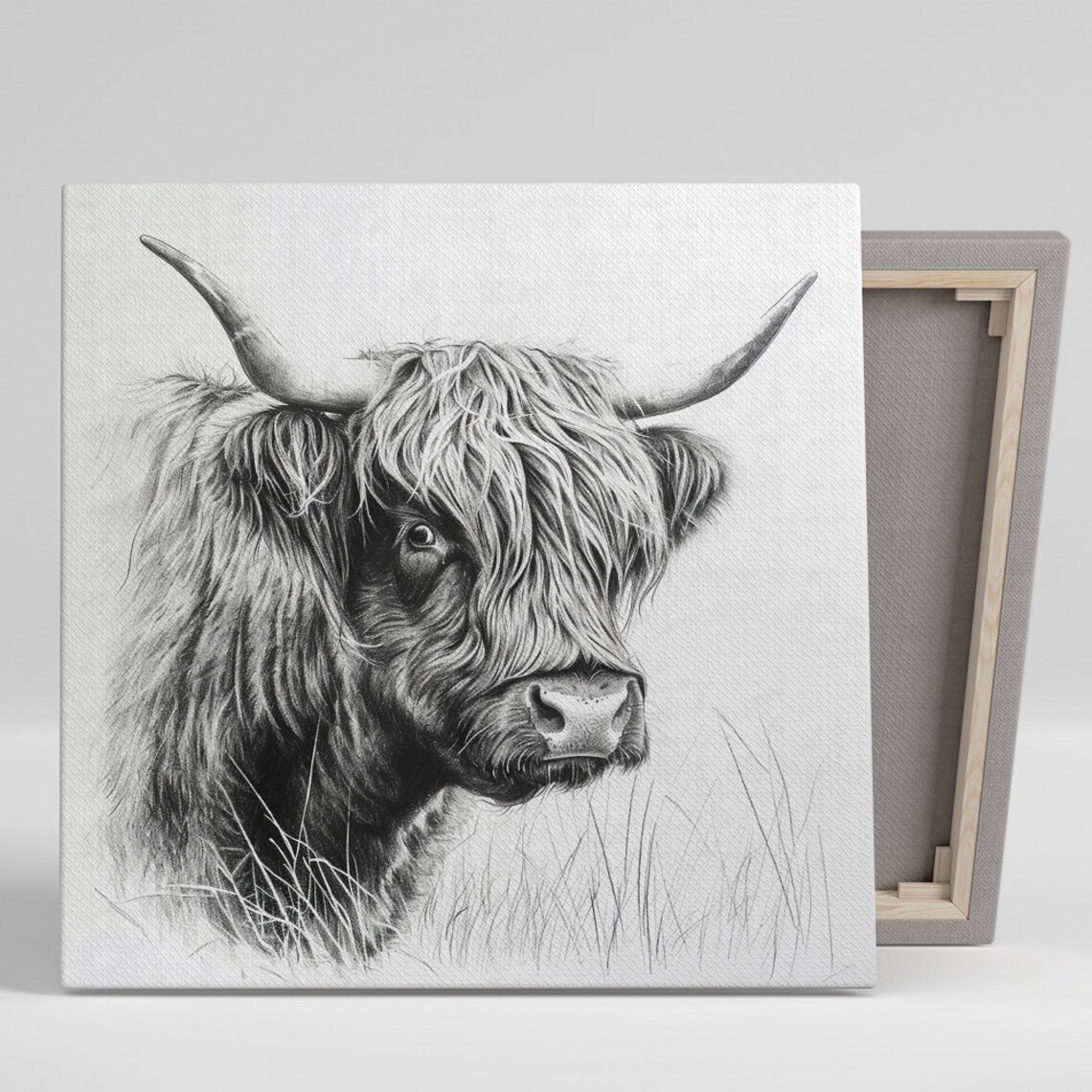 Highland Cow Portrait Black White Sketch Shaggy Hair Long Horns Poster