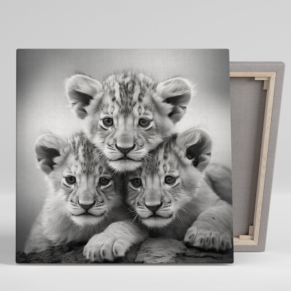 Lion Cubs Trio, Modern Black White Grey Art Print