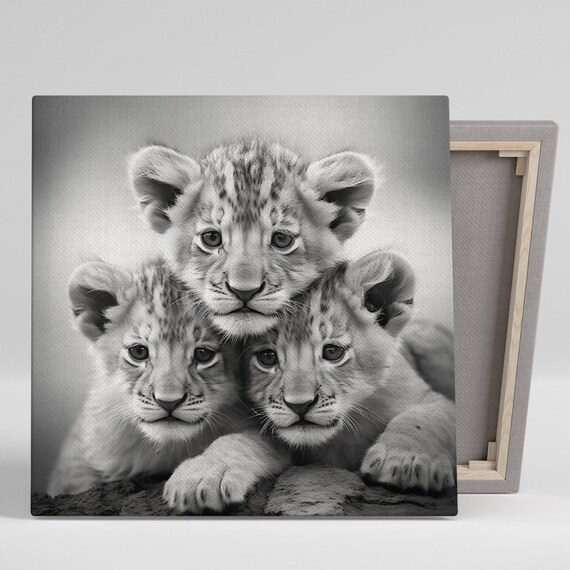 Lion Cubs Trio, Modern Black White Grey Art Print
