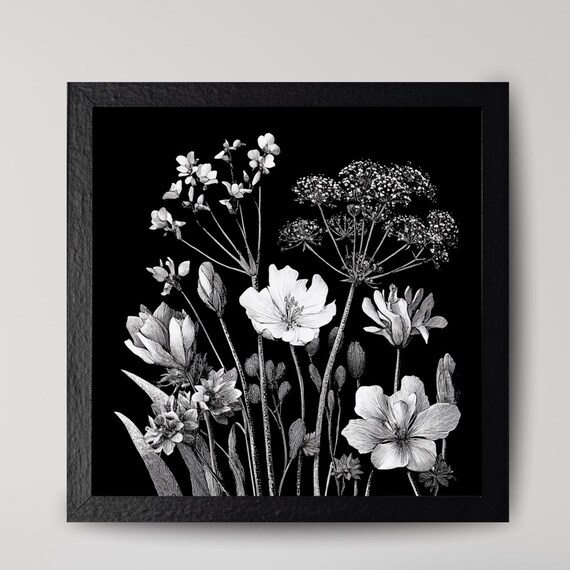 Monochrome Botanical Wildflower Illustration Vintage Flower Art Poster