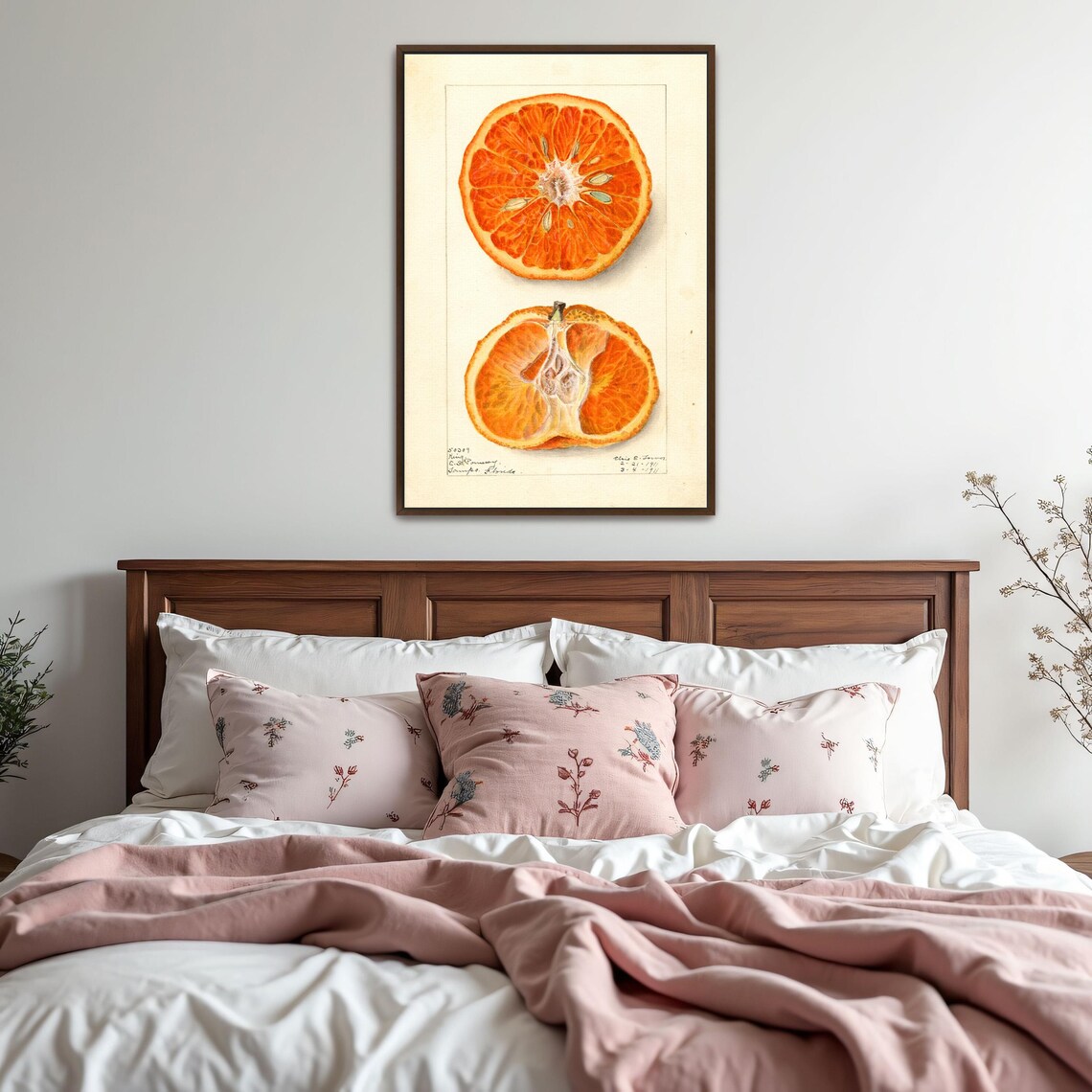 Blood Orange Cross Section Vintage Botanical Fruit Illustration Poster - Image 5