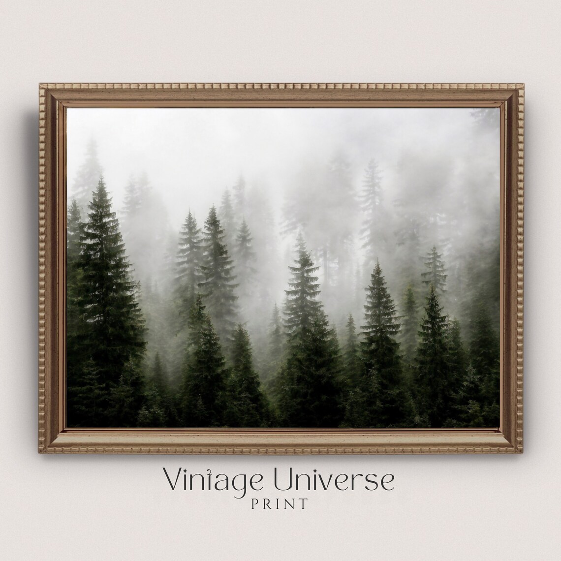 Foggy Evergreen Forest in Morning Mist Moody Woodland Poster - Image 4