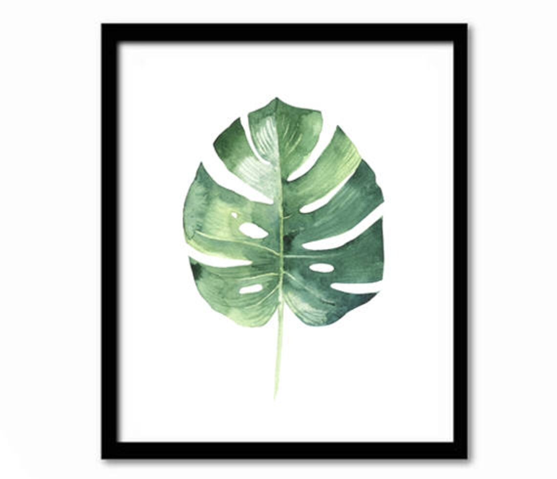 Monstera Leaf Watercolor Botanical Tropical Green Plant Poster