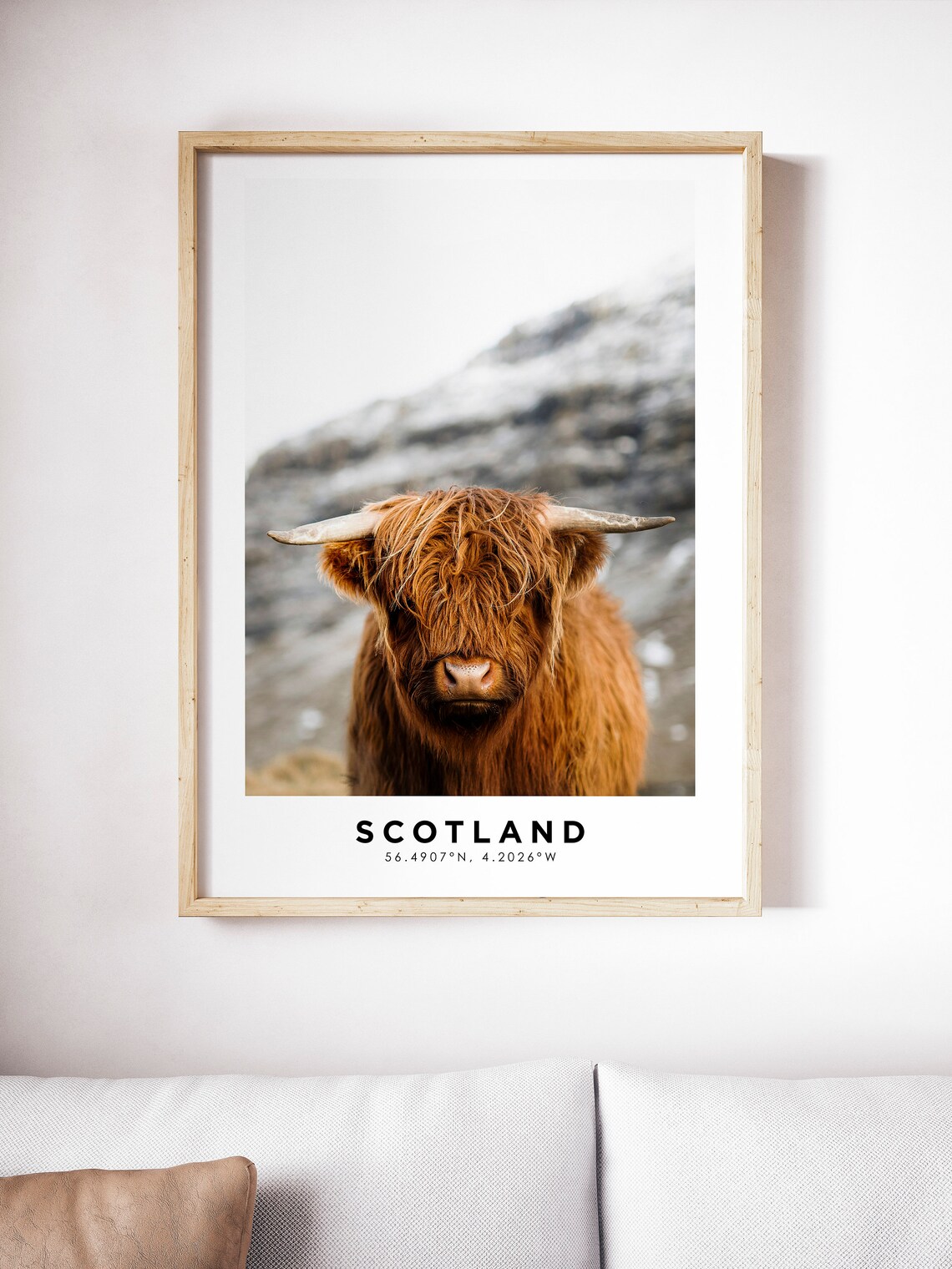 Scotland Highland Cow Cattle Portrait Travel Coordinates Photo Poster - Image 4