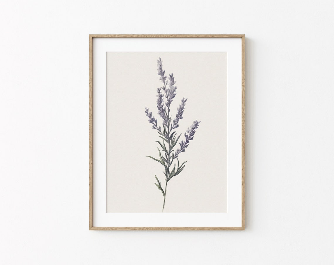 Minimal Lavender Botanical Sketch On Cream Paper Modern Floral Print