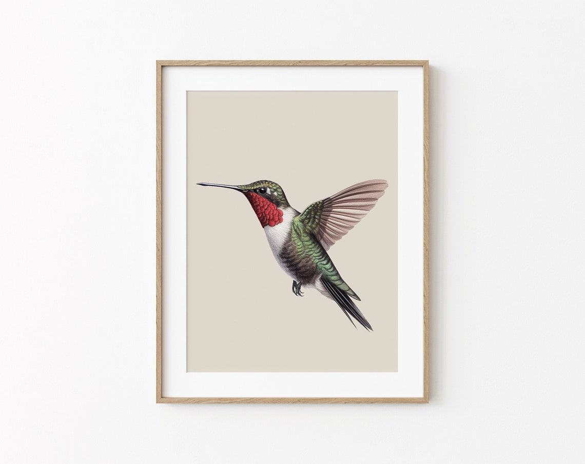 Ruby Throated Hummingbird Print Minimal Animal Art Exotic Bird Nature Drawing Nursery Wall Decoration Small Cute Bird