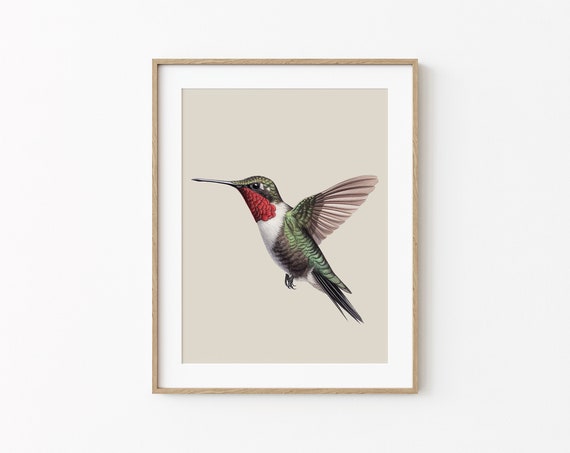 Ruby Throated Hummingbird Print Minimal Animal Art Exotic Bird Nature Drawing Nursery Wall Decoration Small Cute Bird