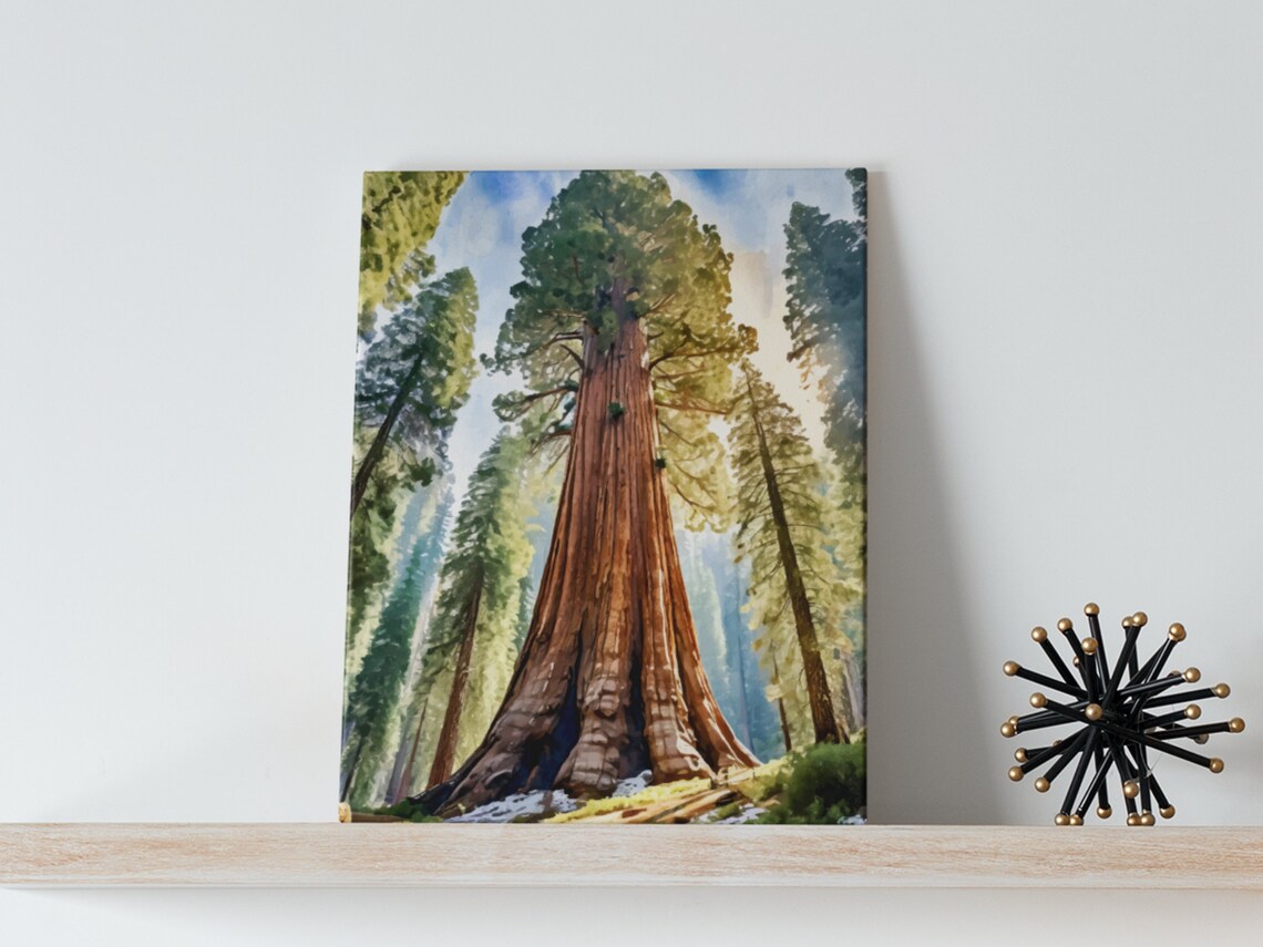 Sequoia Watercolor Art Print, Giant Forest Trees