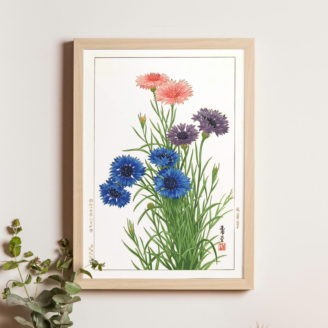 Nishimura Hodo Bachelor Button Cornflowers Botanical Flower Poster