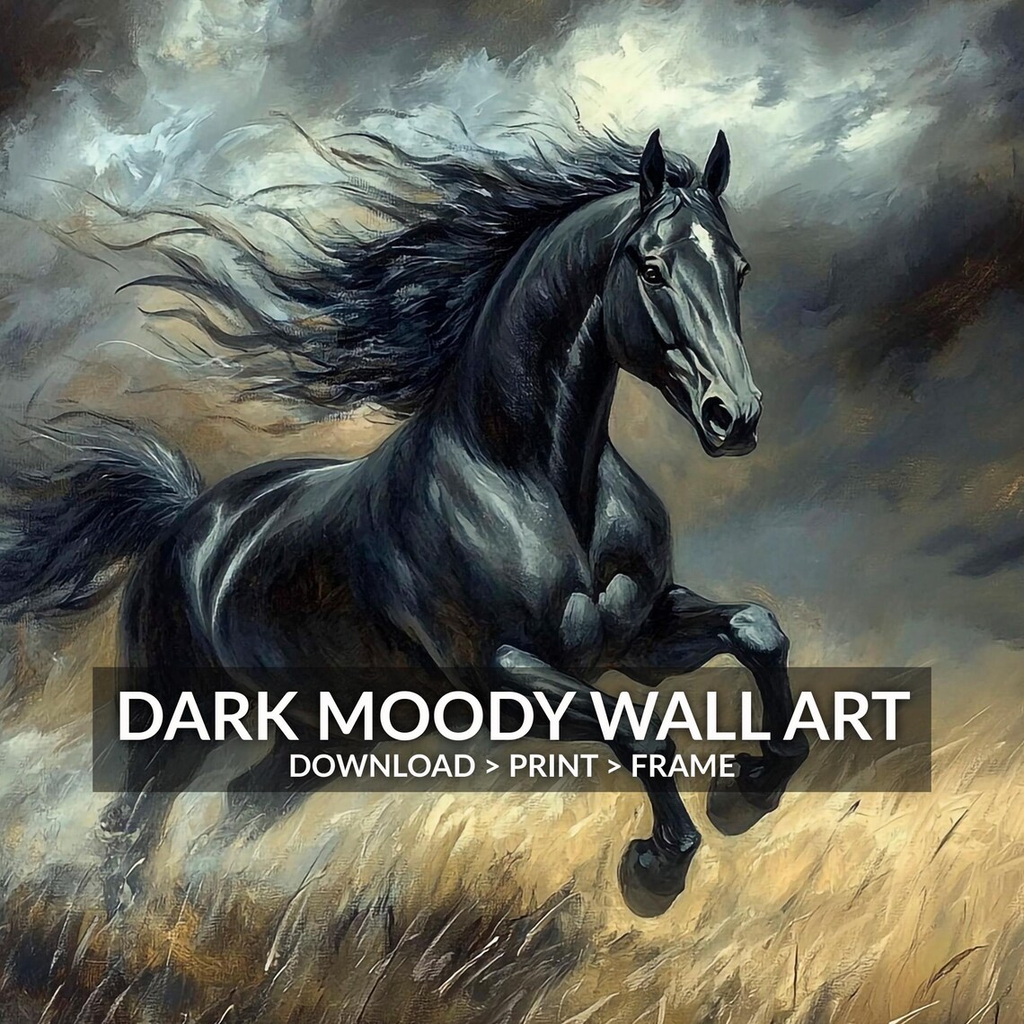 Black Horse Rearing In Golden Grass Stormy Sky Moody Equine Wall Art - Image 6