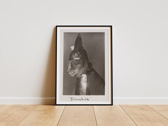 Brunnhilde Valkyrie Cat in Vintage Helmet Costume Photo Poster